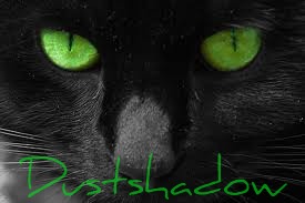Dustshadow-warrior