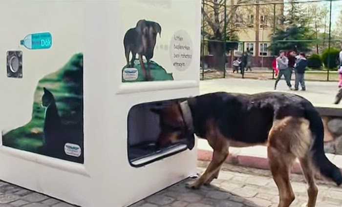 It also has a water bowl if you don’t want your water anymore - This Vending Machine Takes Bottles And Gives Food To Stray Dogs In Exchange It also has a water bowl if you don’t want your water anymore - This Vending Machine Takes Bottles And Gives Food To Stray Dogs In Exchange