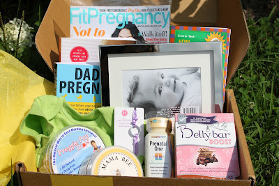 His Plan, Not Ours: Pregnancy Survival Kit