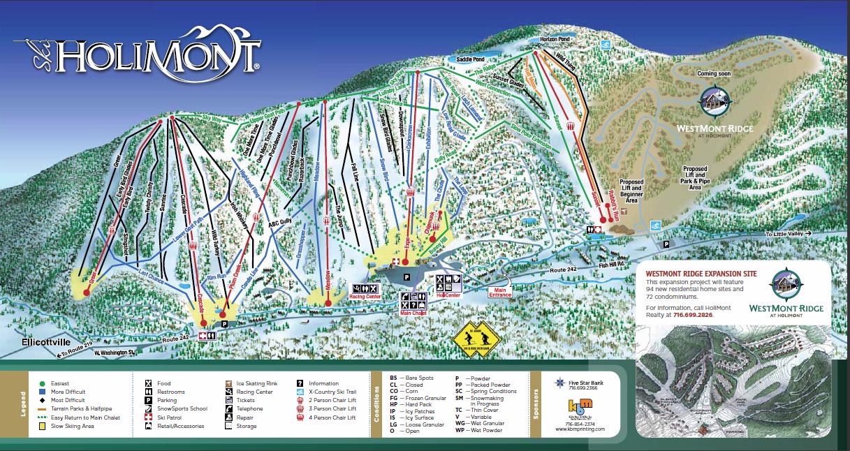 Rusted WindmillRelax, Play and Getaway in Ellicottville, NY