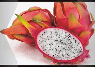 Manfaat Buah Naga Untuk Kecantikan