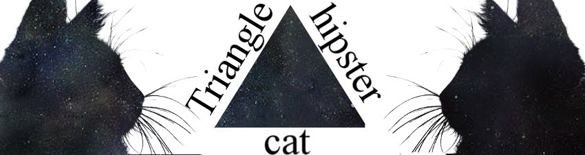 hipster triangle cat