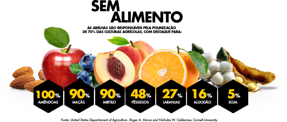 SEM ABELHAS NÃO HÁ ALIMENTOS