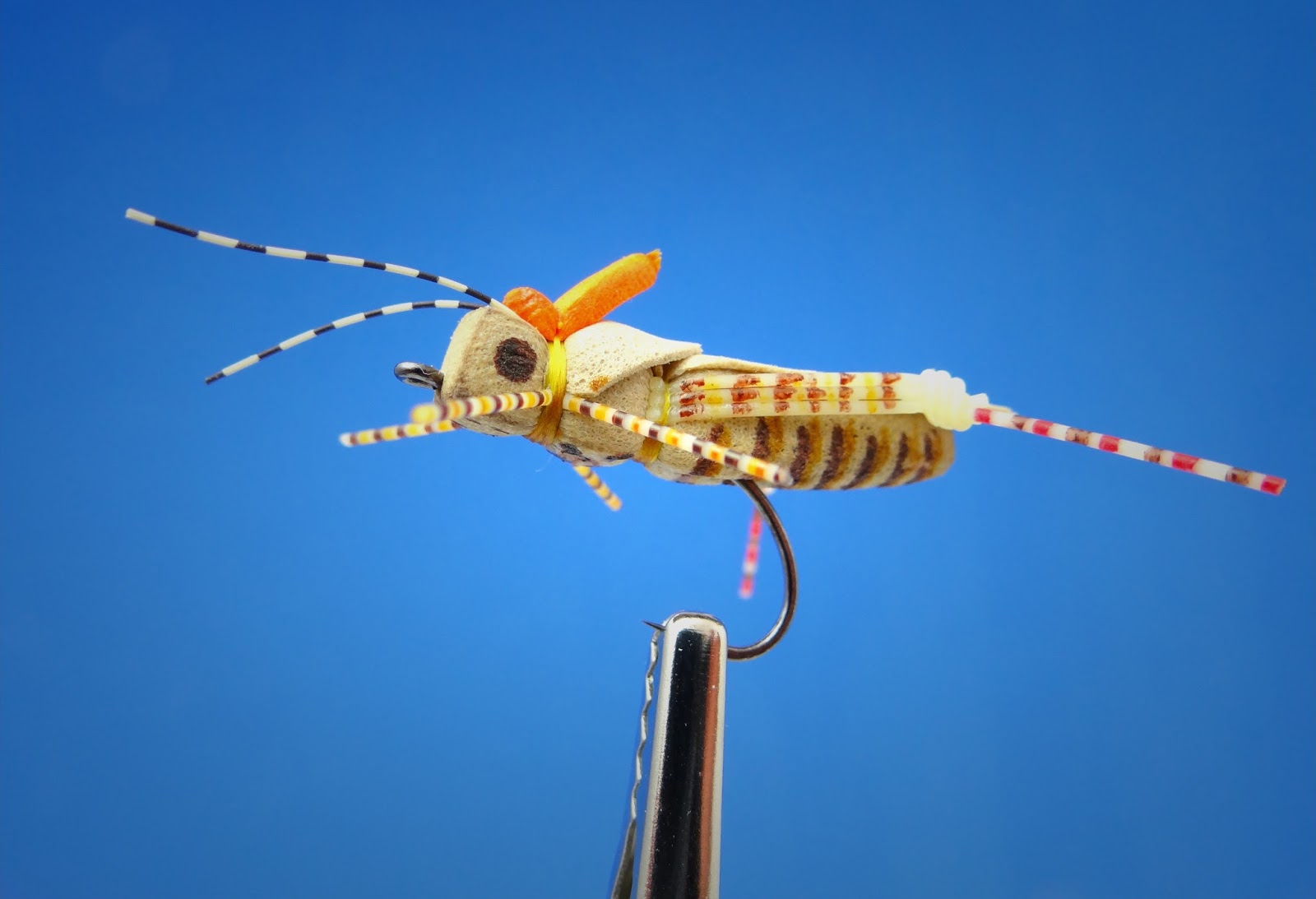 Project Hopper Fly Fish Food Fly Tying and Fly Fishing