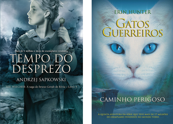 Gatos guerreiros - caminho perigoso