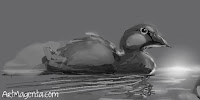 A sitting duck