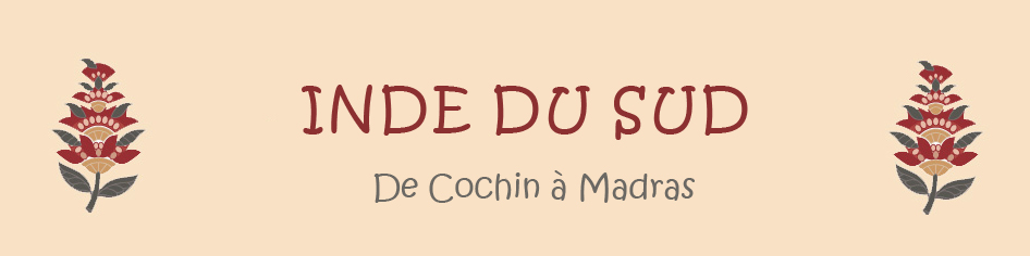 Inde du sud : de Cochin à Madras