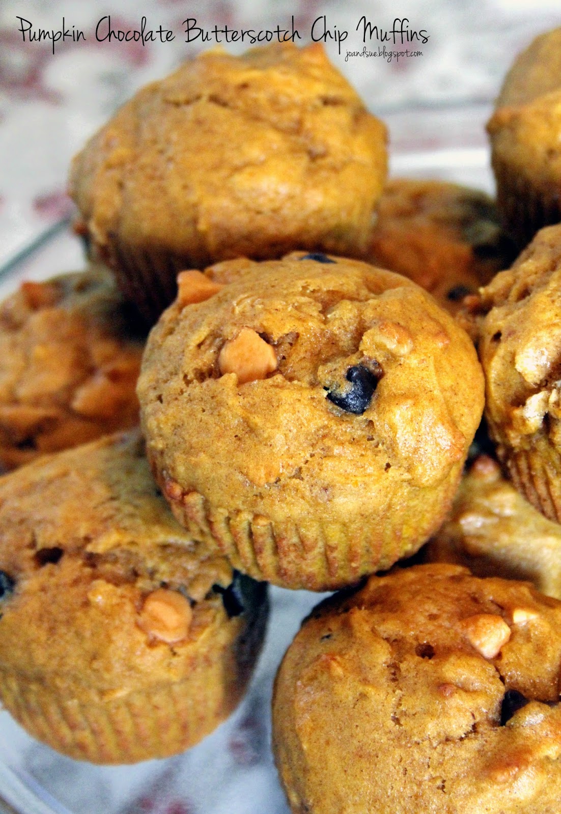 Jo and Sue Pumpkin Chocolate Butterscotch Chip Muffins