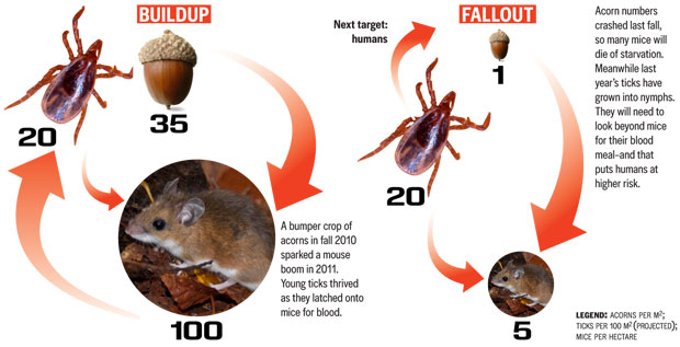 research paper in chagas disease research paper in chagas disease