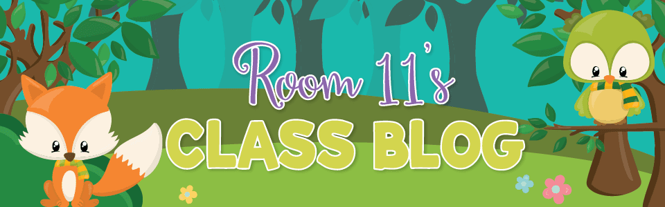 Room 11's Blog 2018