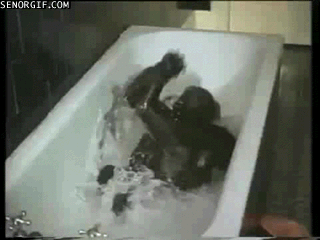 cute-animals-taking-baths-gifs-flailing-monkey.gif