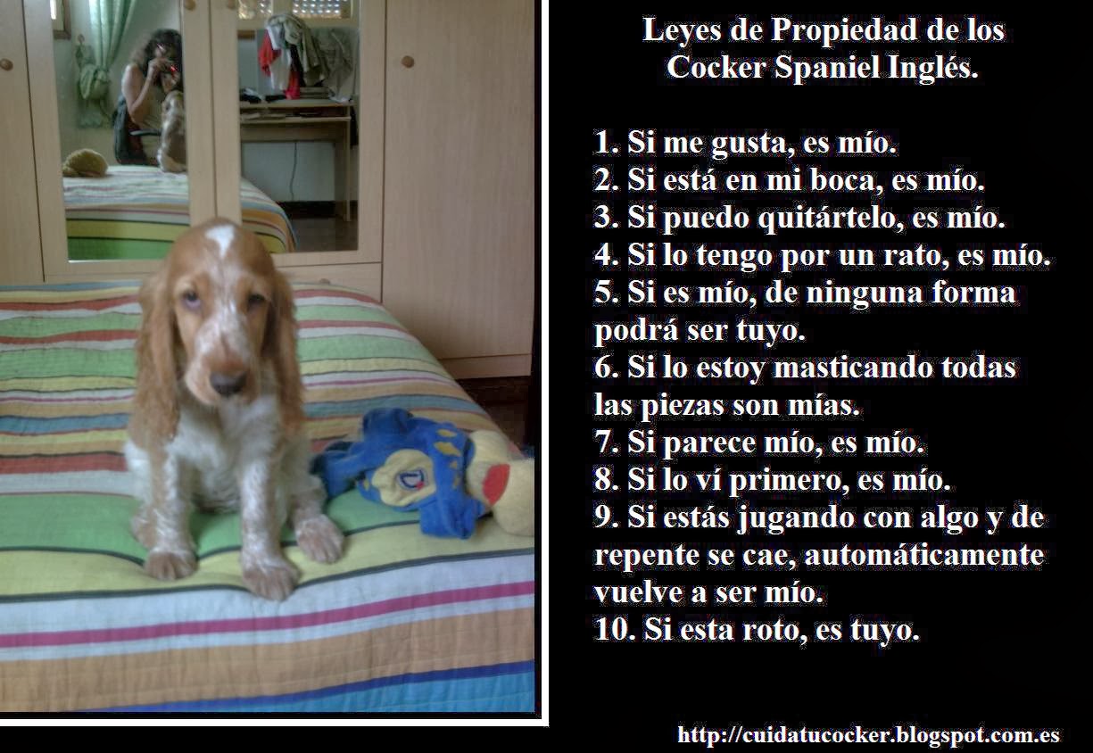 Leyes de propiedad...