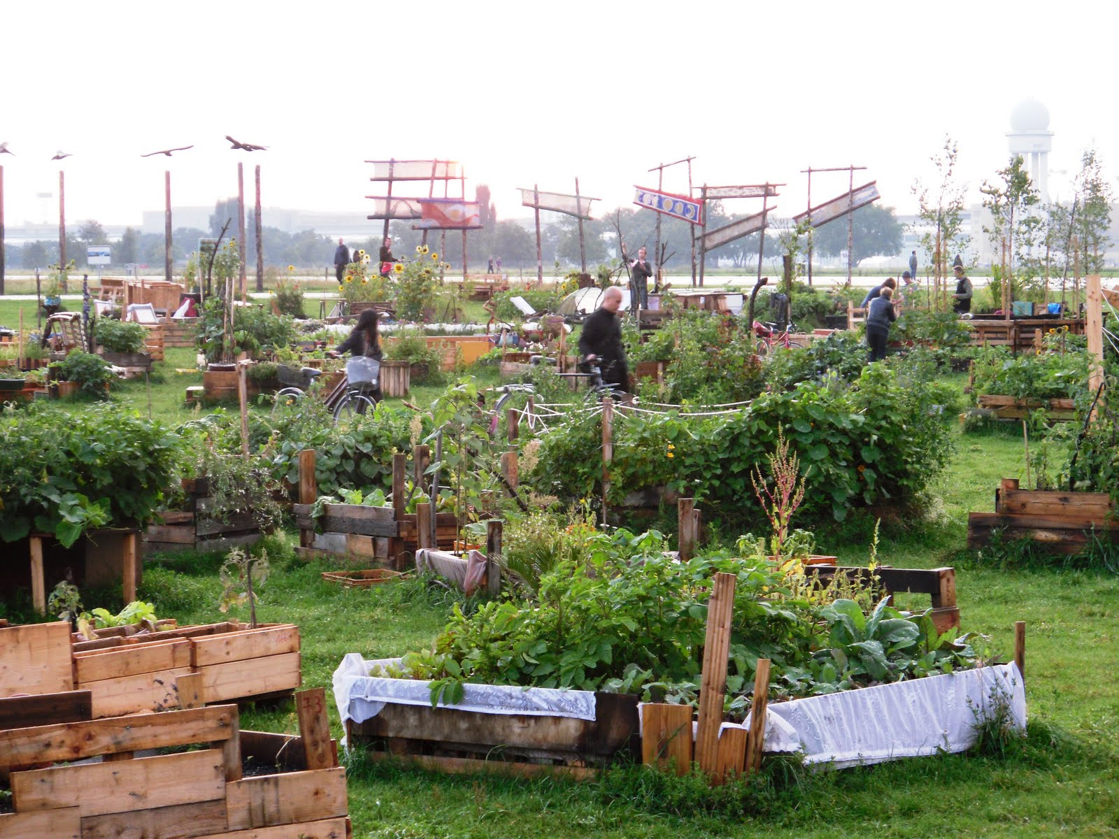 The Art of Thinking Praxis die Garten im Flughafen