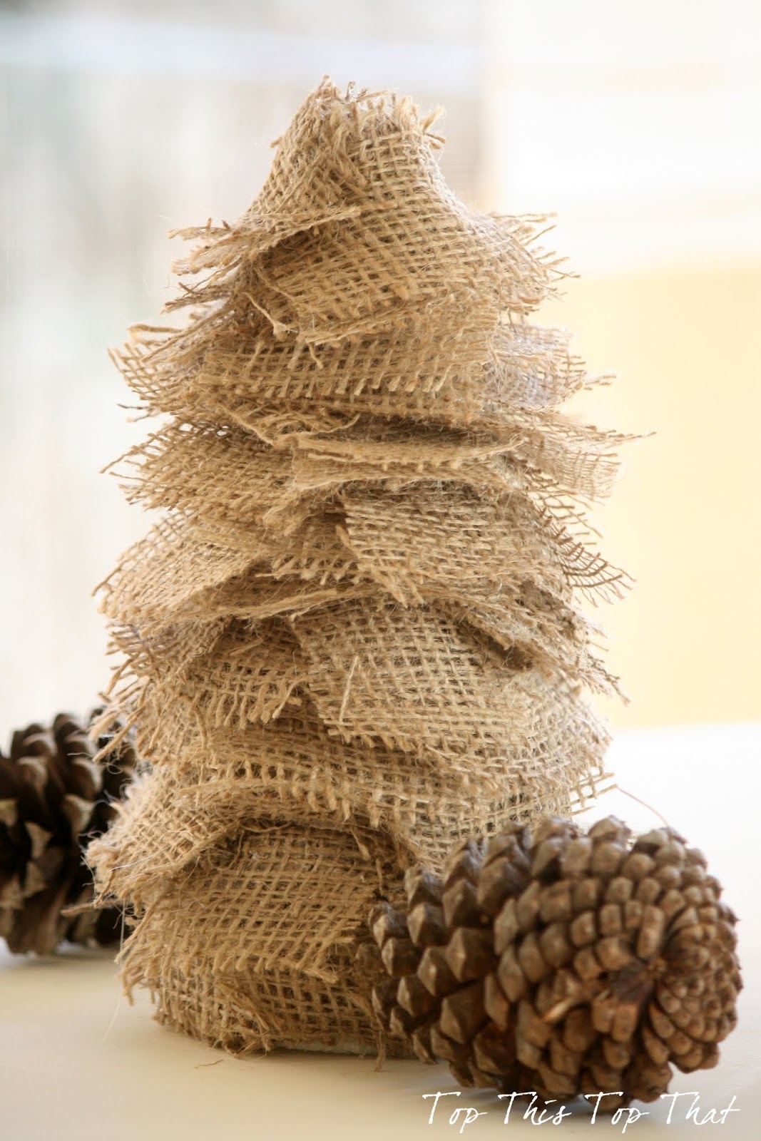 TOP THIS TOP THAT 3 Easy DIY Burlap Trees