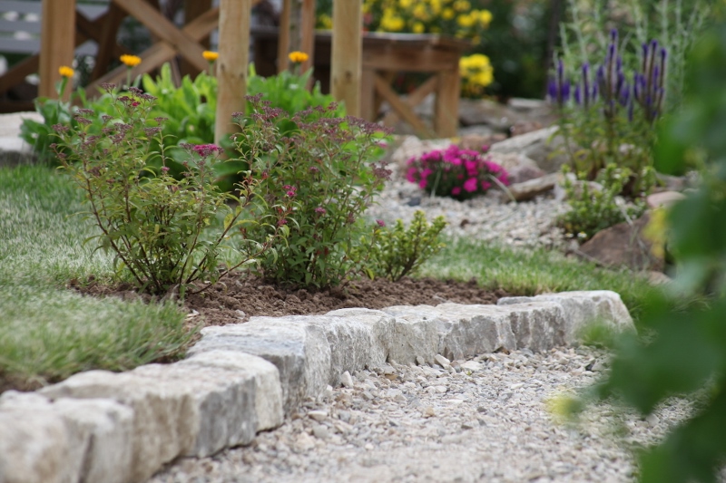 DoMis Garten Blickachsen & der Garten im Juni