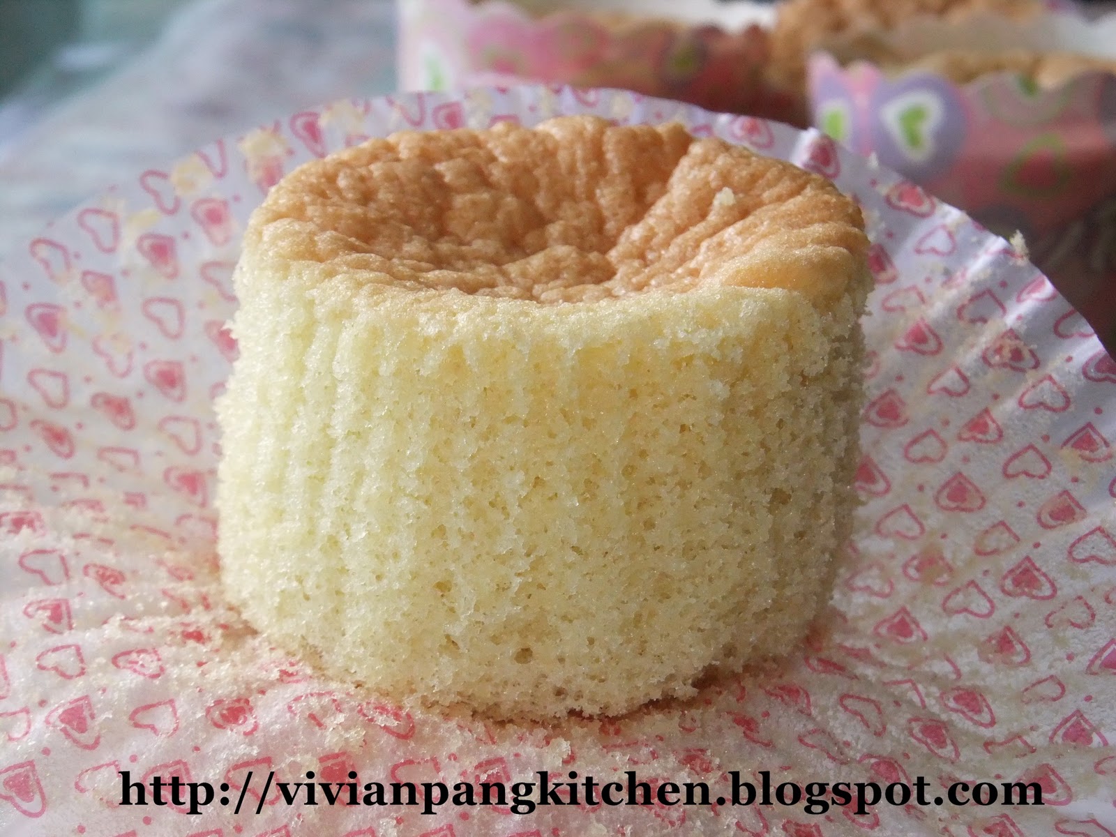Vivian Pang Kitchen Sponge Cupcake