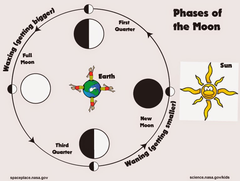Magnolia Preparatory Academy: 8/24/14 - 8/31/14