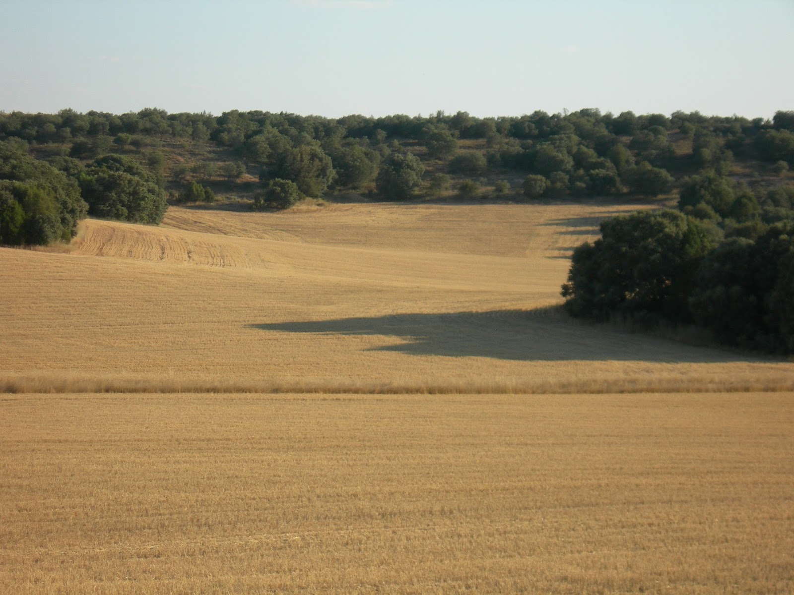 Escapadas para todos Ruta por Fresnillo de las Dueñas Senderismo