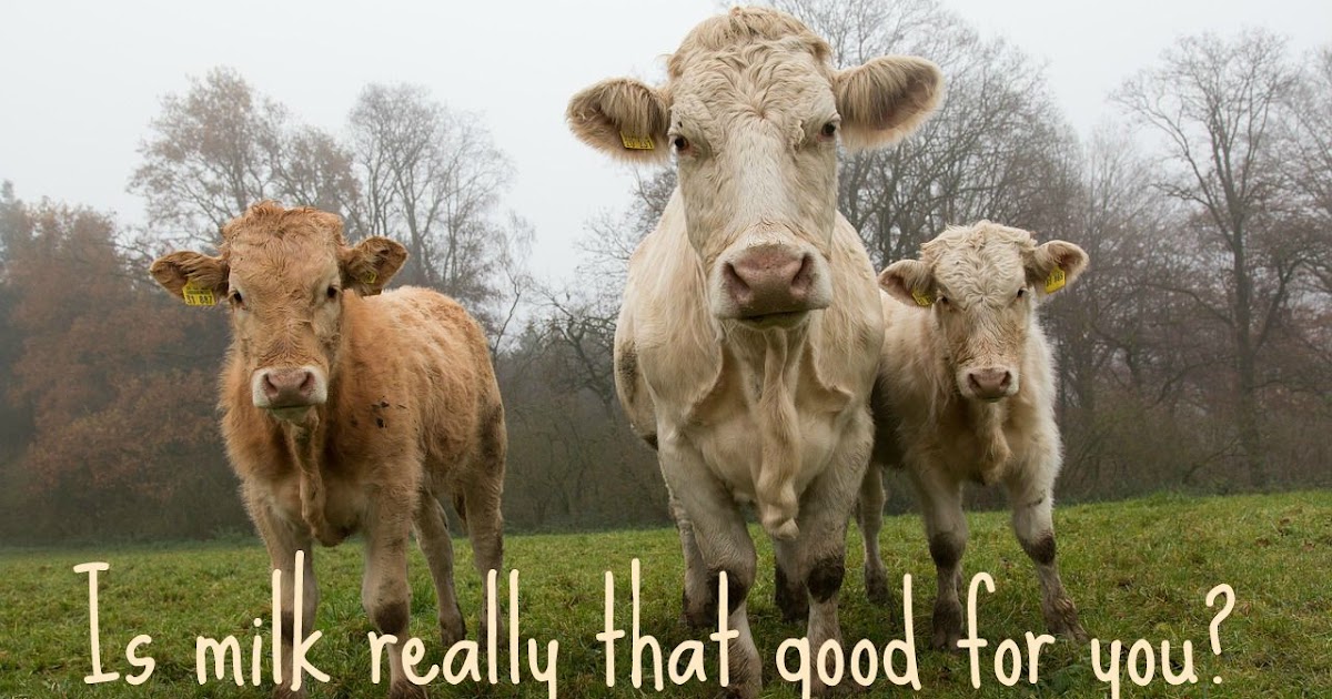 Juicing My MS Is Milk Really That Good For You?