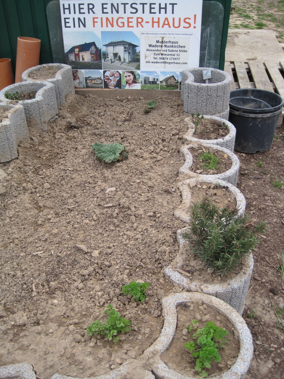 Wir Bauten Orange Medley200 Keller Wiga Gartengestaltung