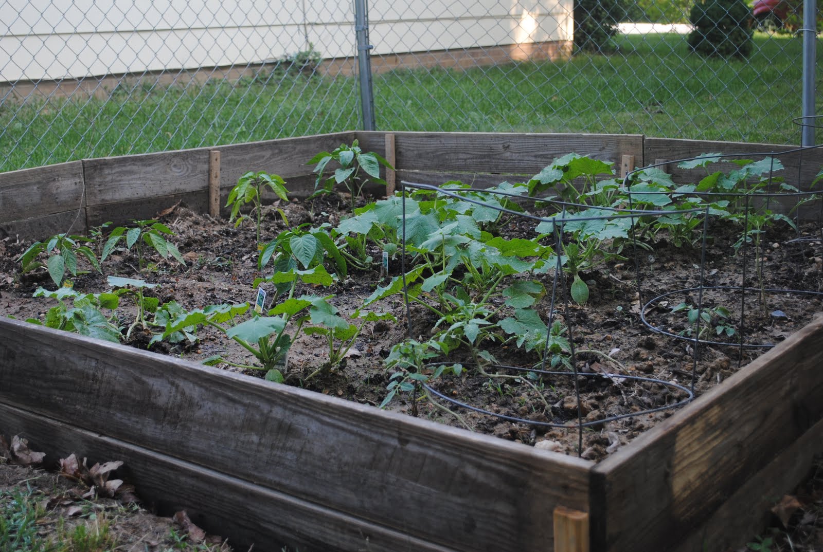 Serenity Now Setting Up Our Vegetable Garden
