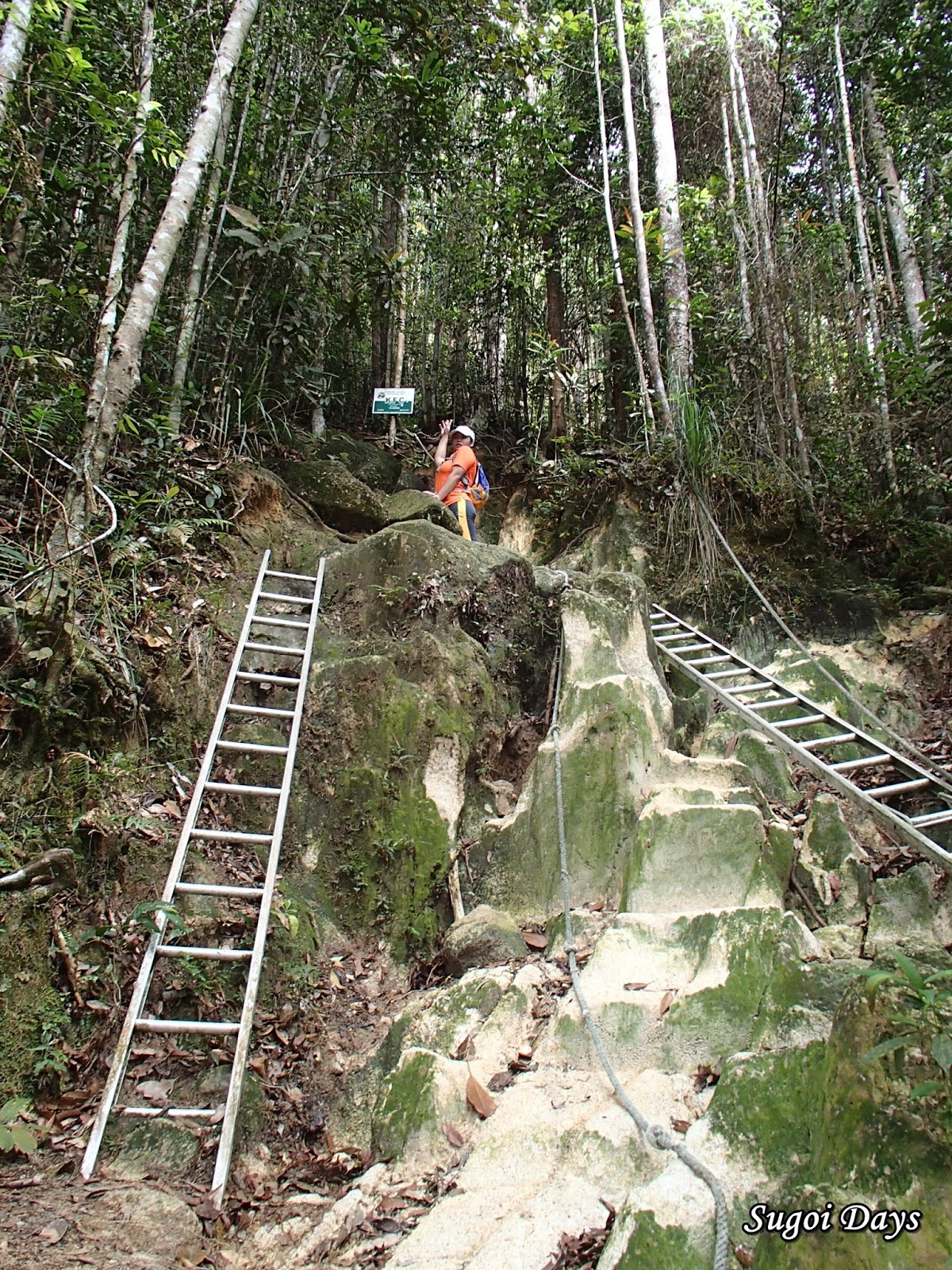 Sugoi Days Climbing Gunung Ledang, Johor 7 hours of Torture
