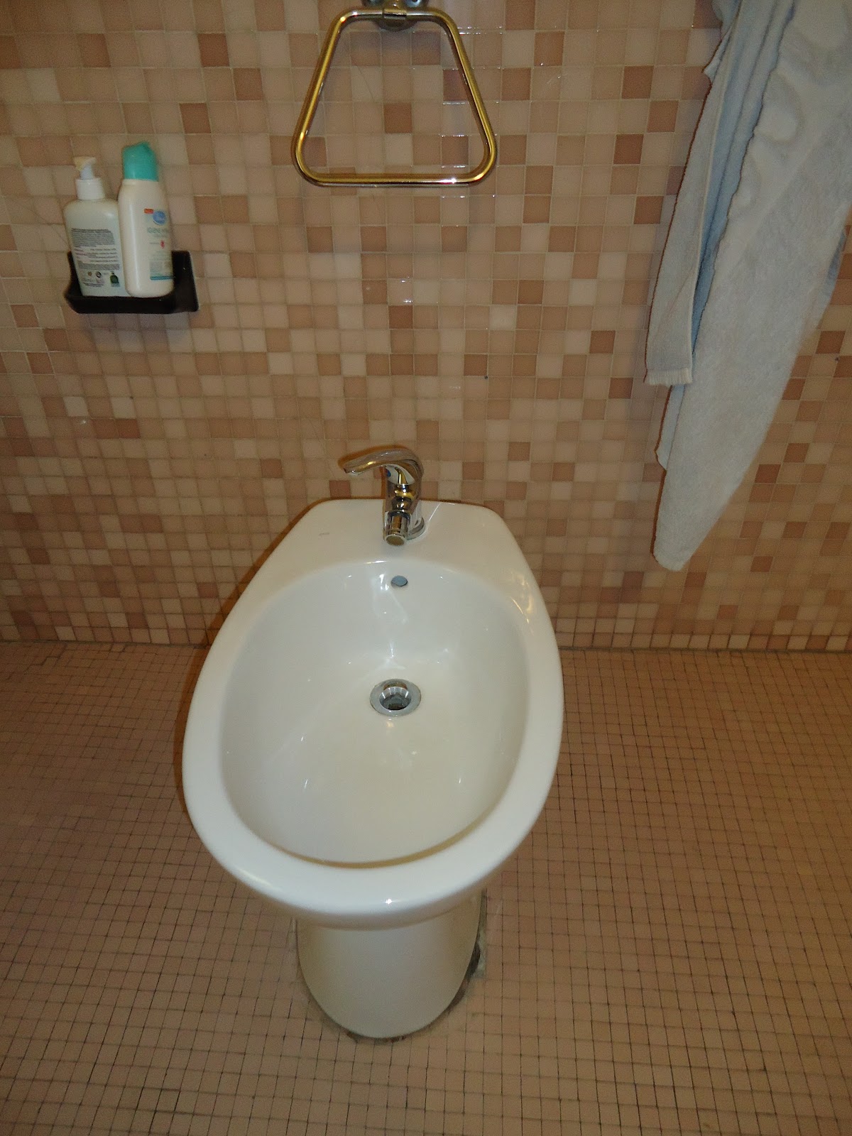 Full of Bologna Bidet The "Butt" of All the Jokes