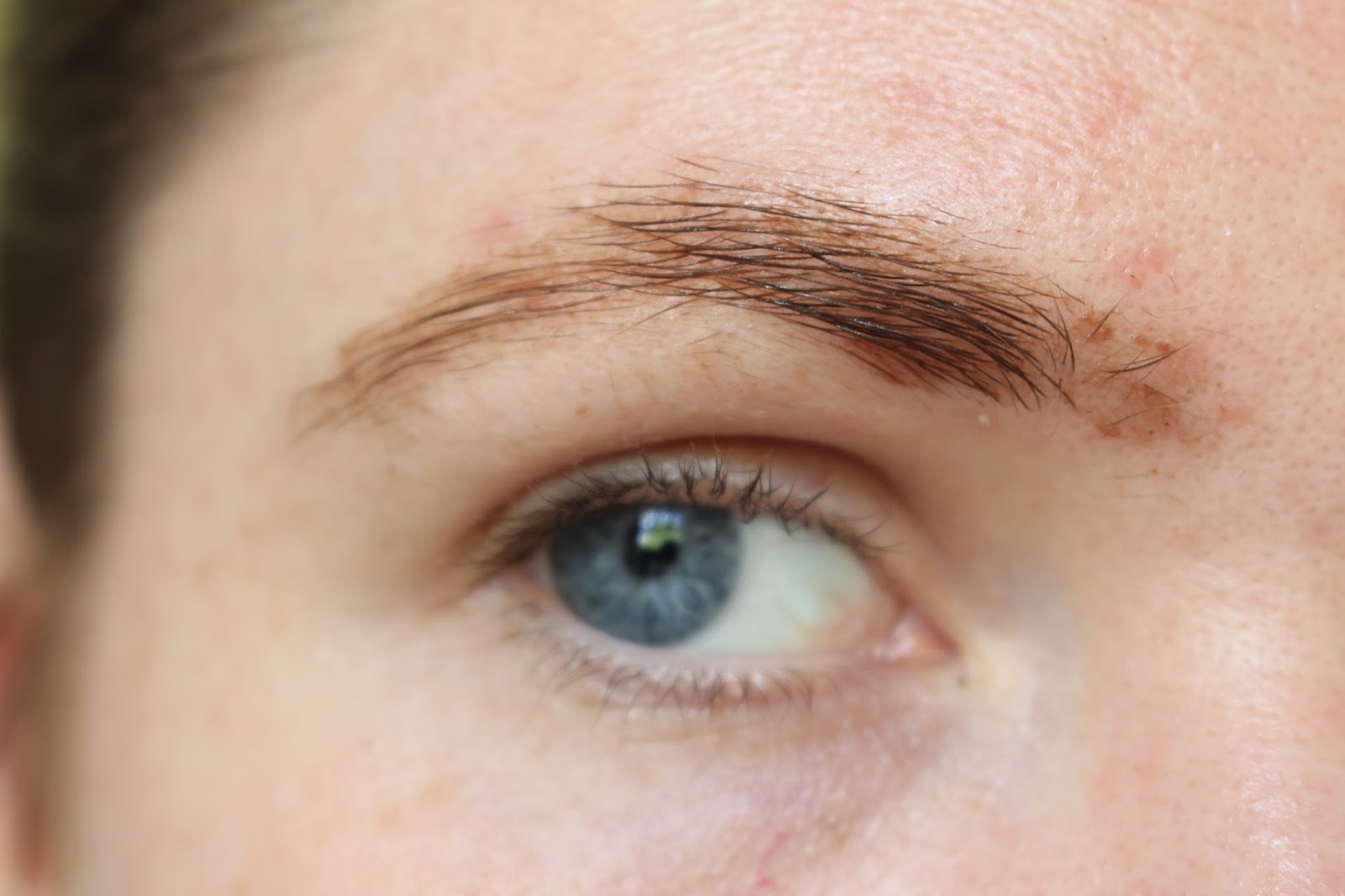 Eylure ProBrow Tinting Review Pixi Picks