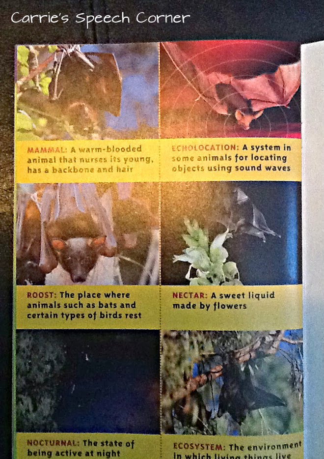 Carrie's Speech Corner Book of the Week Bats