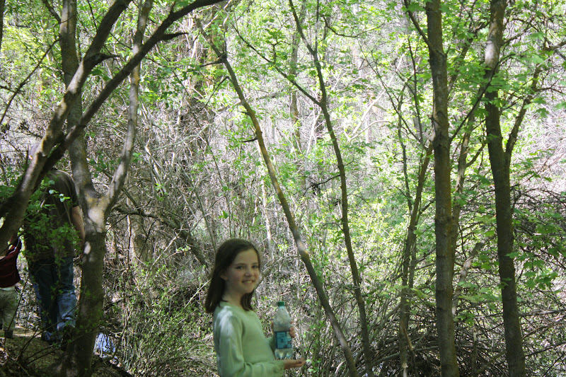 navel gazing at its finest You Can Never Have Enough Castle Parks