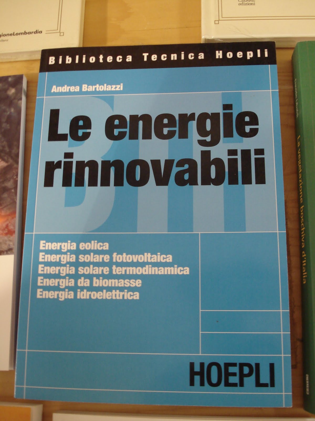 Biomass energy Solution for the future?