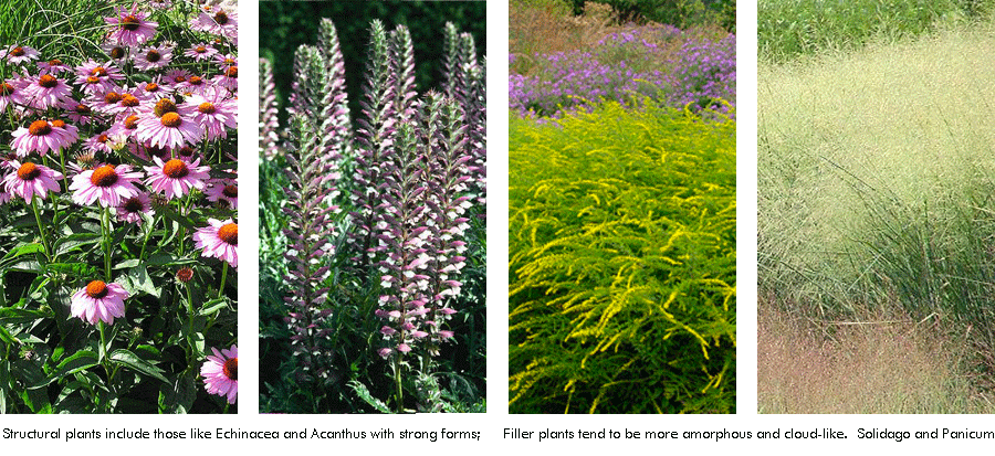 grounded design by thomas rainer beyond the border part 3 how to select plants for landscape grounded design by thomas rainer beyond the border part 3 how to select plants for landscape