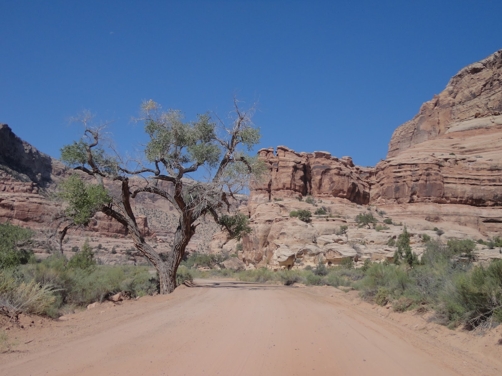 Running Reviews Little Grand Canyon Marathon, Huntington Utah