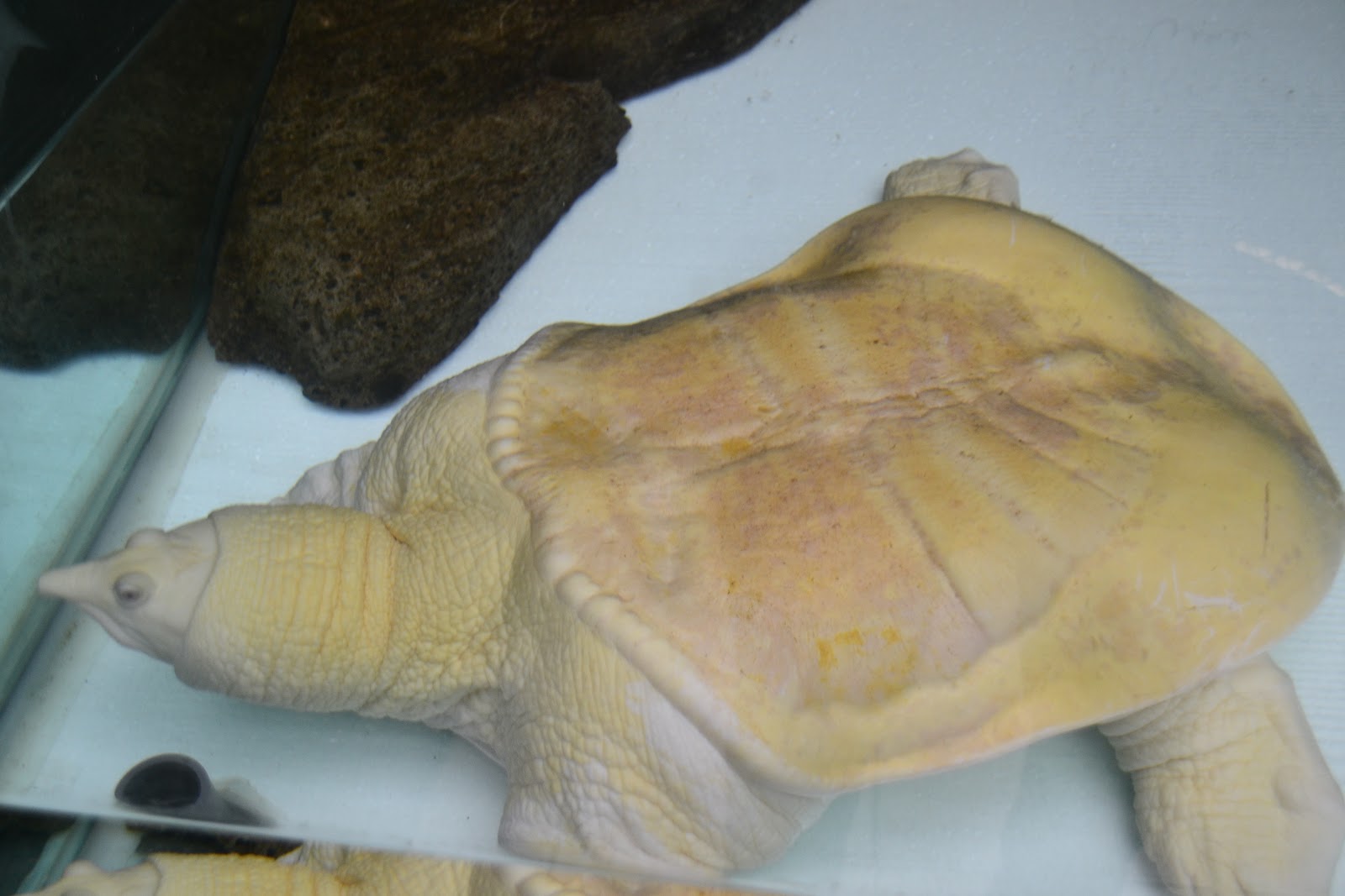 Seorang anak dengan superb-ego : Taman Mini Indonesia Indah (Museum Air