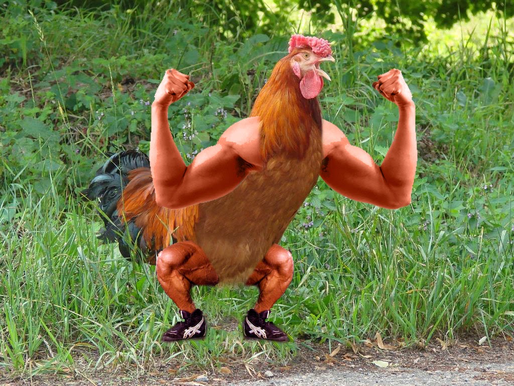 muscle%2Bchicken%2Bwithout%2Bweights.jpg