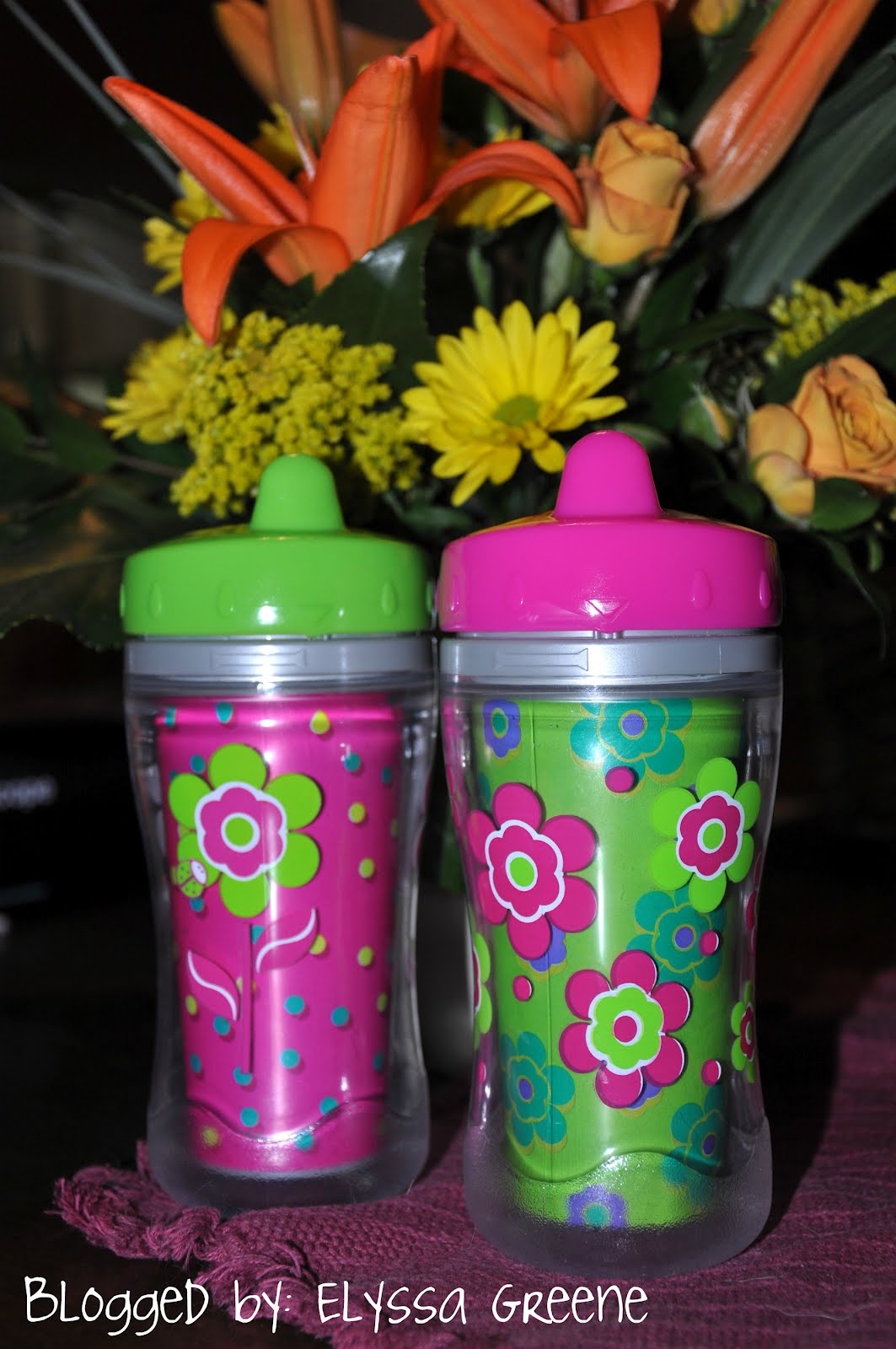 The Greene Machine Best SpillProof Cup Ever!