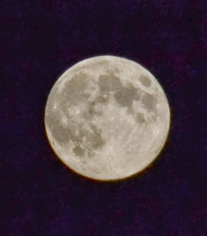 Lúa Chea