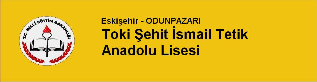 Toki Şehit İsmail Tetik Anadolu Lisesi