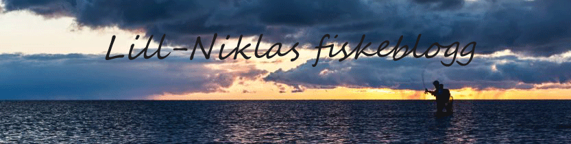 Lill-Niklas fiskeblogg