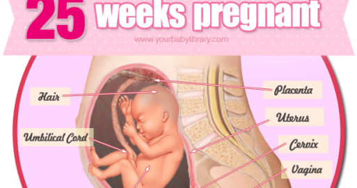 gravid under menstruation dating for ældre gravid under menstruation dating for ældre