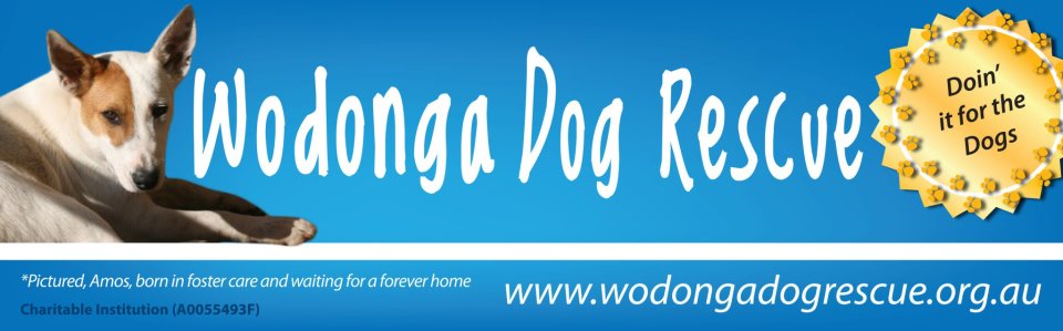 Wodonga Dog Rescue Wodonga Dog Rescue