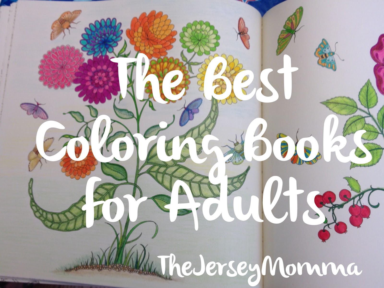 If You Like These Choices Be Sure To Check Out My Other Posts About The Best Adult Coloring Books And Mediums Part 2 Enchanted Forest