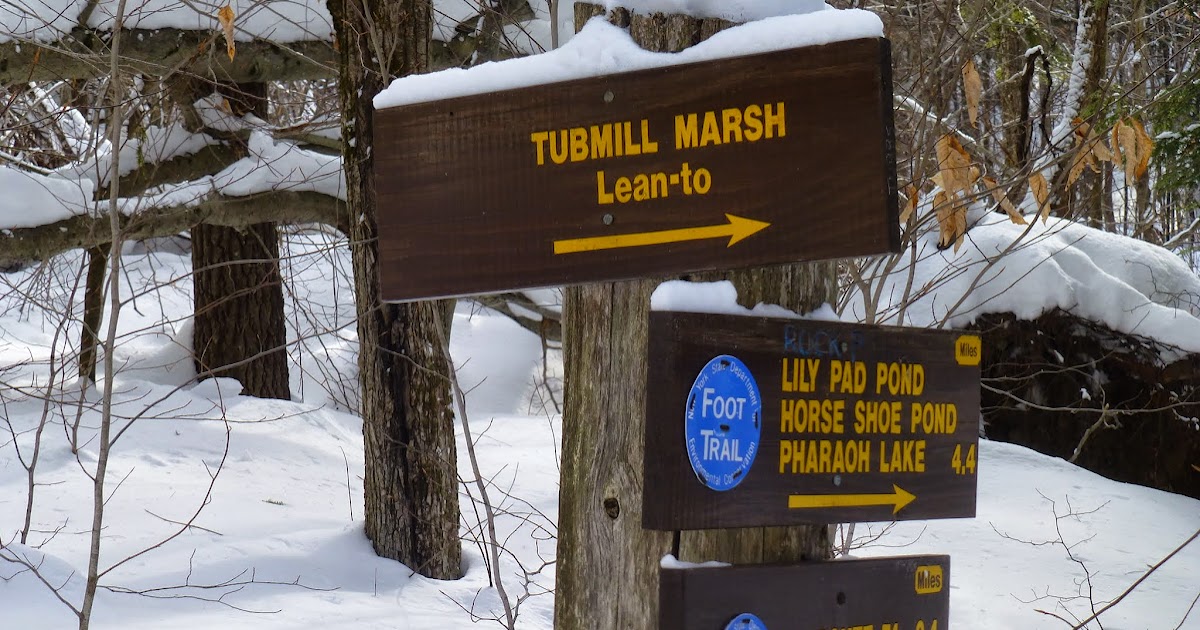 Off on Adventure XC Ski Short Swing Trail to Horseshoe Pond