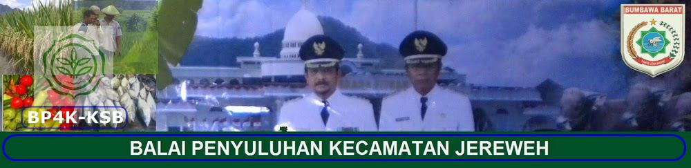 BALAI PENYULUHAN KECAMATAN JEREWEH