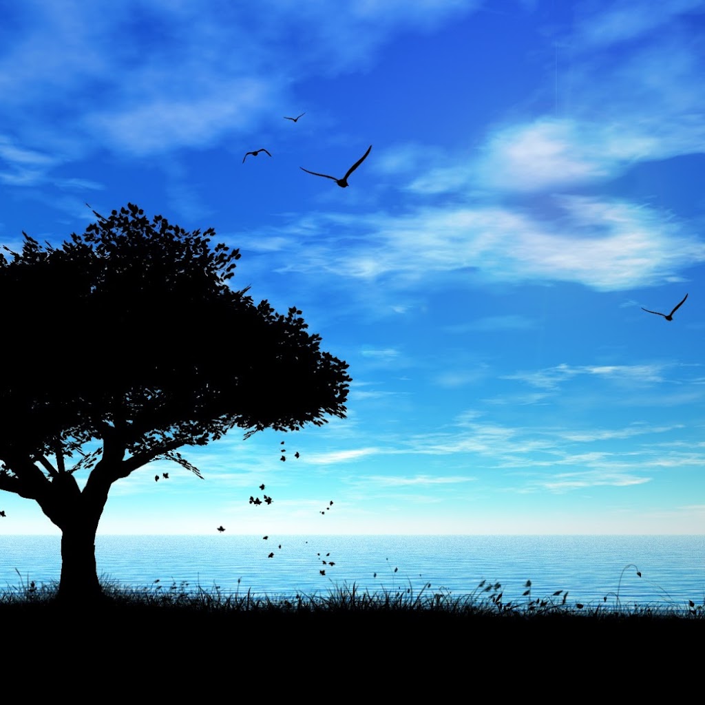 Hd Wallpaper Gallery Hd Wallpaper Gallery