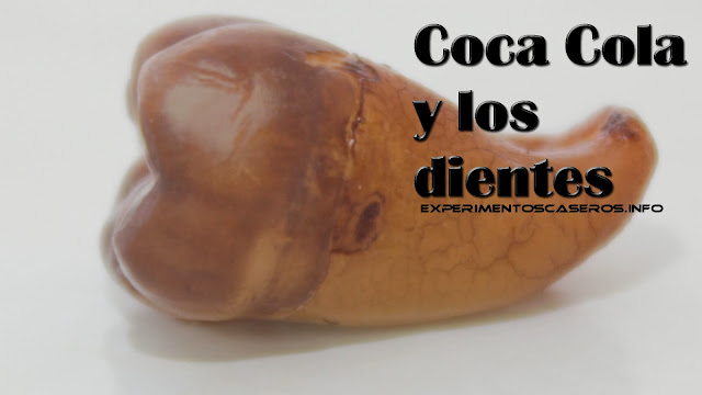 coca cola y los dientes, se disuelven los dientes en coca cola, experimentos caseros, mitos de la coca cola