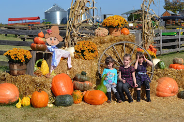 Pumpkin Farm