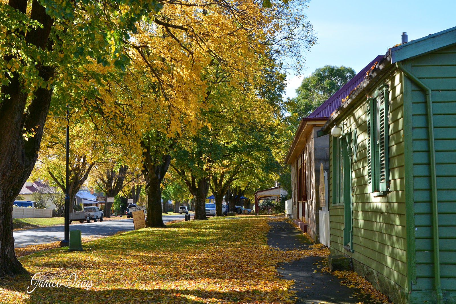 thoughts & happenings Houses at Ross, Tasmania