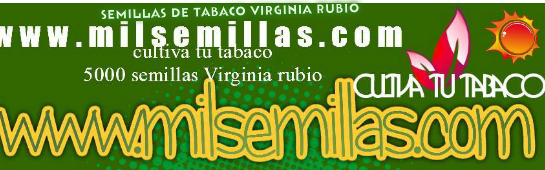 Cómo cultivar tabaco Virginia