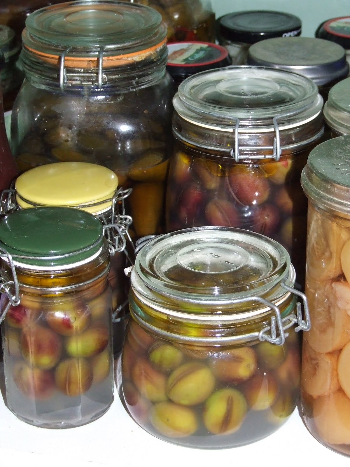 Simple, Green, Frugal Coop Curing Olives At Home